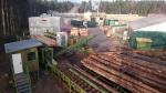 Other equipment Třídící a Kapovací linka KS-1 | Sawmill machinery | Woodworking machinery | Drekos Made s.r.o