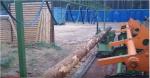 Other equipment Loupačka Kulatiny | Sawmill machinery | Woodworking machinery | Drekos Made s.r.o
