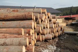 Sawmill machinery Twin-blade circular sawmill |  Spare production capacity | GEOVIN, s.r.o.
