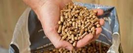 Pellets Pine | Firewood, briquettes | SCOPULUS Handels-und Dienstleistungs GmbH