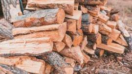 Firewood Birch | Firewood, briquettes | SCOPULUS Handels-und Dienstleistungs GmbH