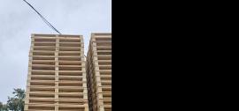 Single-use pallets