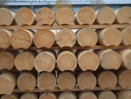 Saw logs