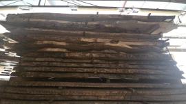 Oak - Timber
