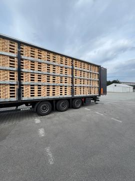 Pallets Single-use pallets | Packaging, pallets | Woodproo s.r.o.