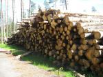 Birch Pulpwood |  Hardwood | Logs | Закупка ООО