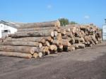 Beech   |  Hardwood | Logs | LKW-Brennholz