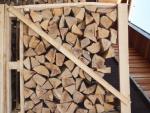Firewood Beech |  Firewood, briquettes | 19th-Wood s.r.o.