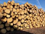 Spruce Saw logs |  Softwood | Logs | ID INVEST S.R.O.