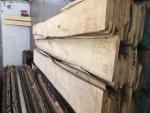 Lime (Linden) Joinery lumber |  Hardwood | Lumber | JAF HOLZ Slovakia