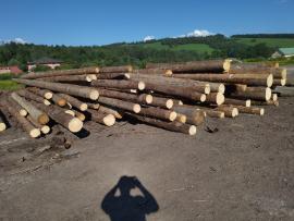 Spruce Saw logs |  Softwood | Logs | Peter Haladej 