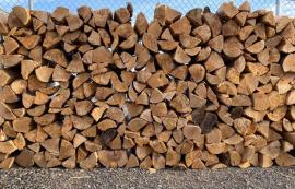 Firewood Birch