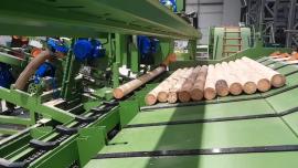 Other equipment Kompletn výroní Linka kulů . |  Sawmill machinery | Woodworking machinery | Drekos Made s.r.o