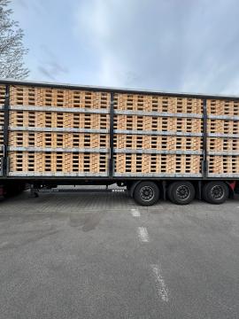 Pallets Single-use pallets |  Packaging, pallets | Woodproo s.r.o.