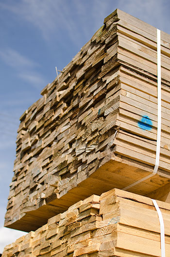 Timber volume