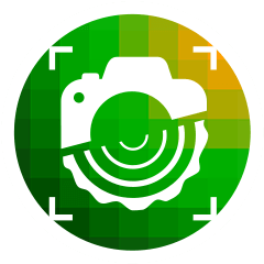 WoodProfi -  - AI smart tool for wood volume estimation